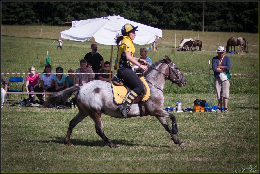 Mounted Games 329